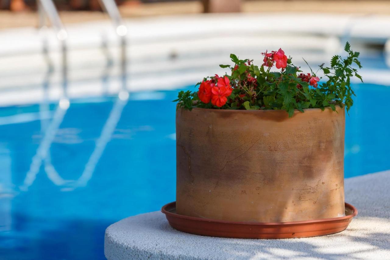 Casita Las Eras En Villa De Nijar Con Piscina Chambre photo